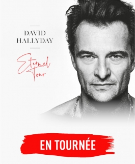 David Hallyday - Éternel Tour