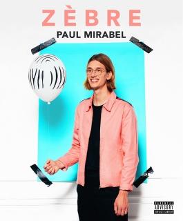 Paul Mirabel - Zèbre
