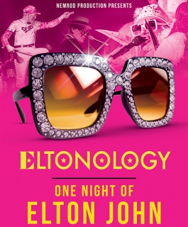 Eltonology - One Night of Elton John
