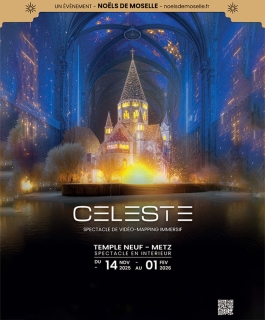 Celeste - En Spectacle - Metz