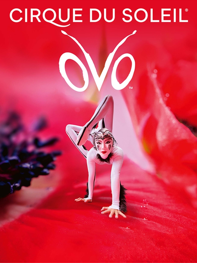 Cirque Du Soleil-OVO