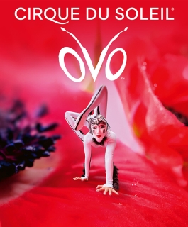 Cirque Du Soleil - OVO - Dijon