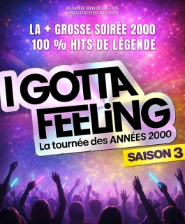 I Gotta Feeling - La Tournée des Années 2000 - Saison 3 - Amnéville