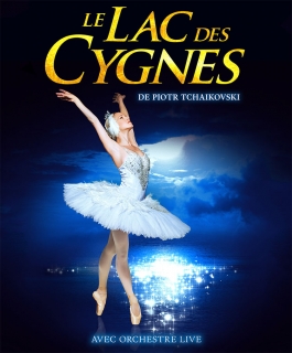 Le lac des cygnes - 