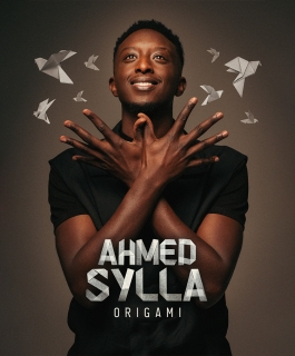 Ahmed Sylla - Origami - Troyes