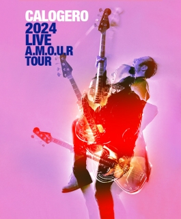 Calogero - A.M.O.U.R Tour - Strasbourg, Maxéville, Amnéville, Epernay, Troyes