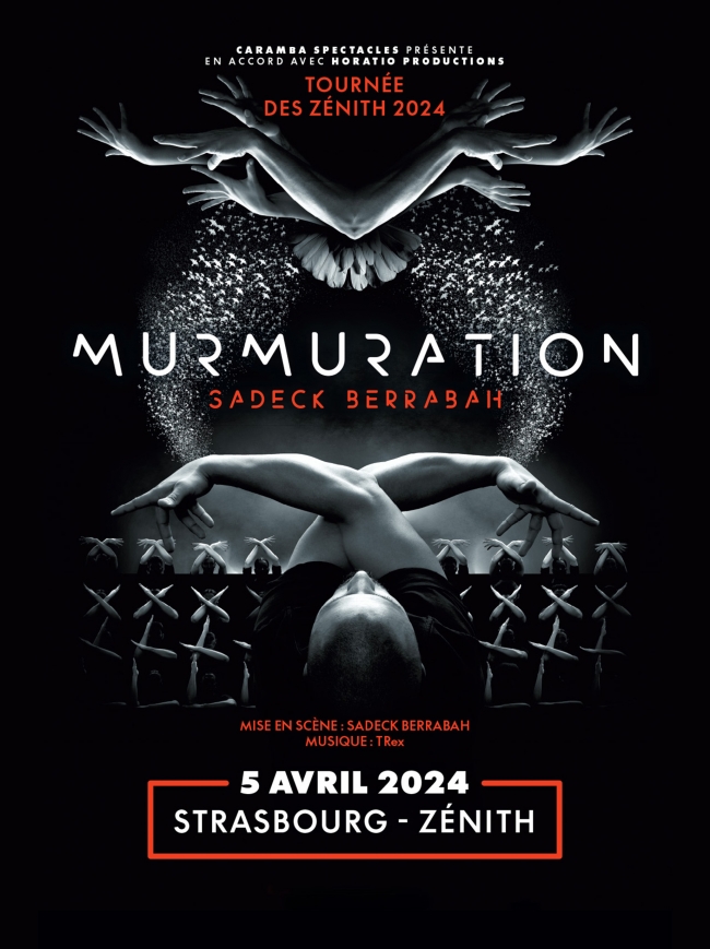 MURMURATION-SADECK BERRABAH