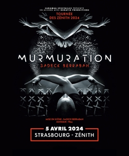 MURMURATION - SADECK BERRABAH