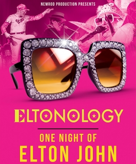 Eltonology - One Night of Elton John - Ludres