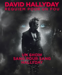 David Hallyday - Requiem pour un fou - Maxéville, Amnéville
