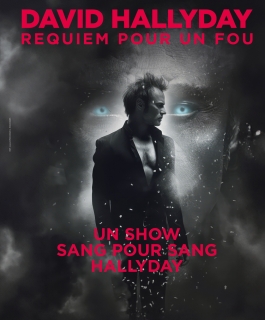 David Hallyday - Requiem pour un fou - Epernay, Maxéville, Amnéville, Strasbourg, Dijon