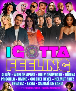 I Gotta Feeling - Le concert - Amnéville, Strasbourg, Dijon