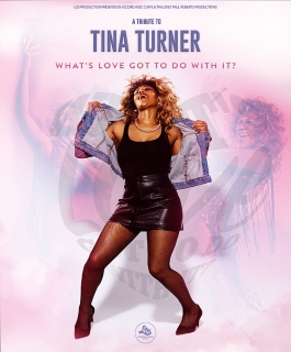 What's Love Got To Do With It ? - A Tribute to Tina Turner - Ludres, Strasbourg